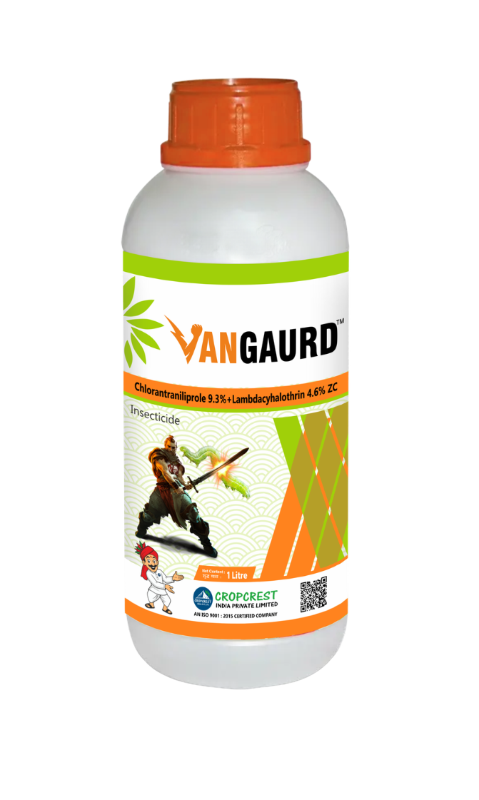 Vangaurd